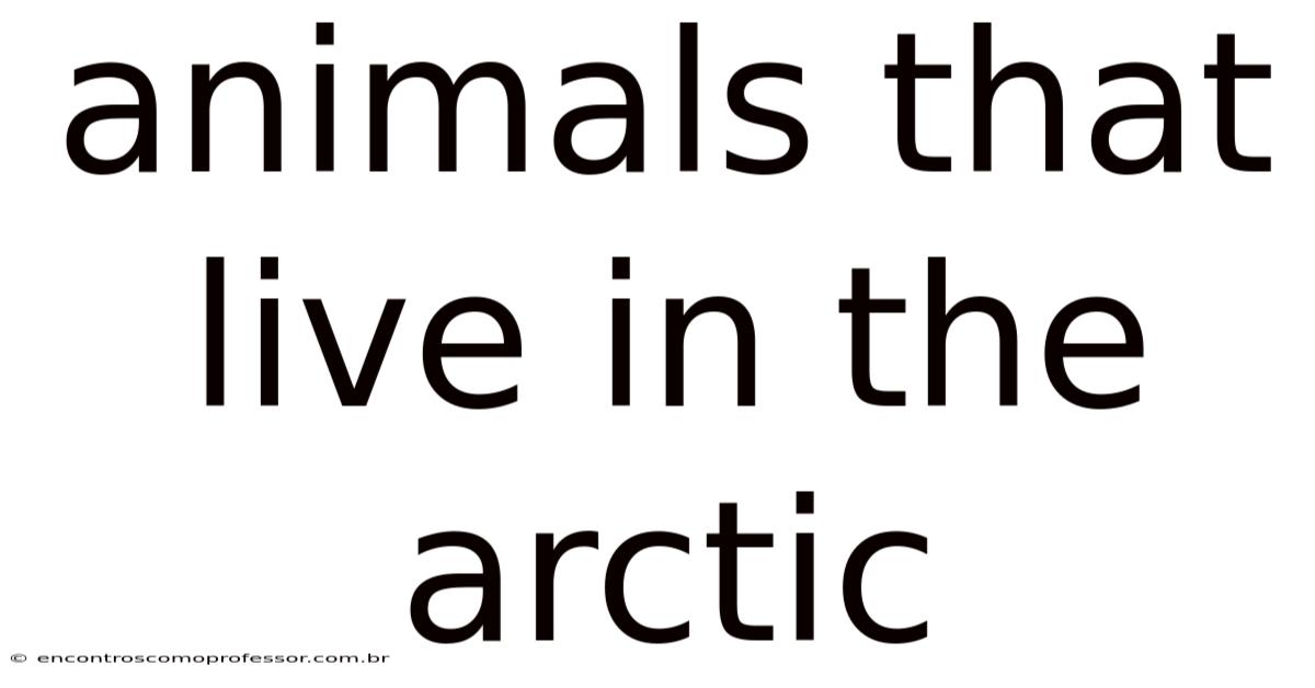 Animals That Live In The Arctic