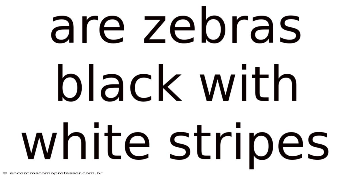 Are Zebras Black With White Stripes
