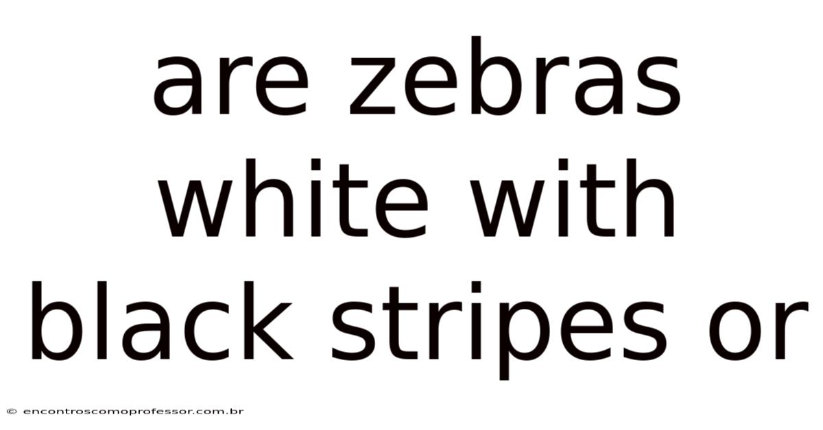 Are Zebras White With Black Stripes Or