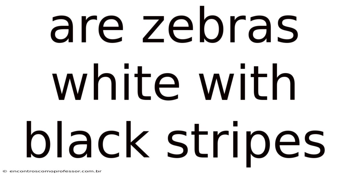 Are Zebras White With Black Stripes
