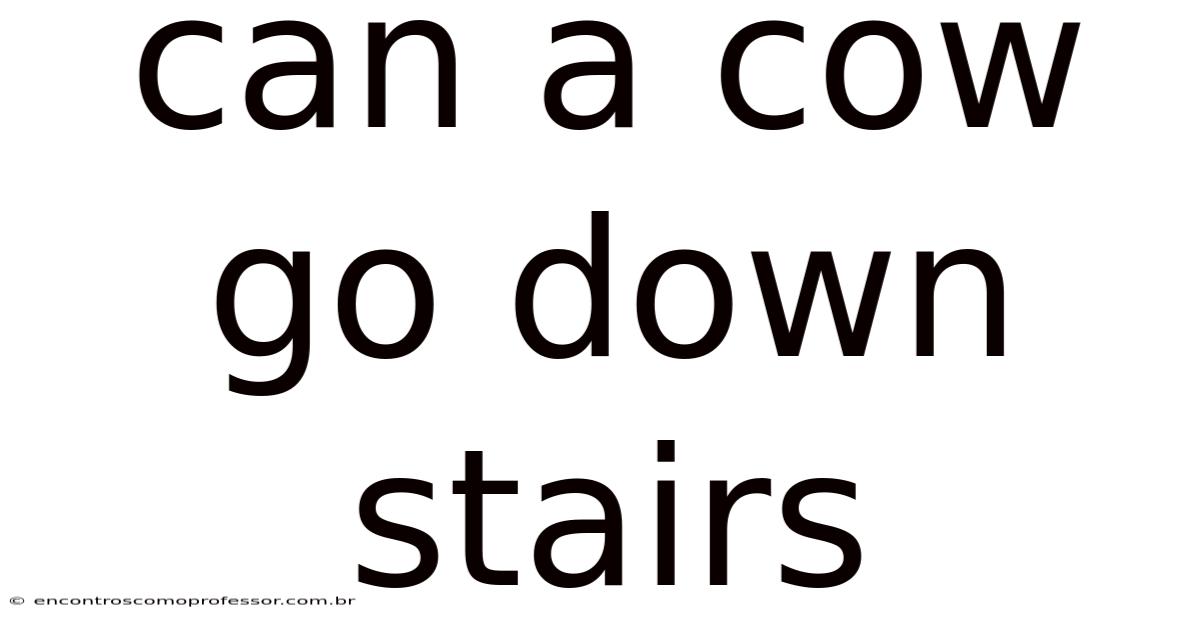 Can A Cow Go Down Stairs