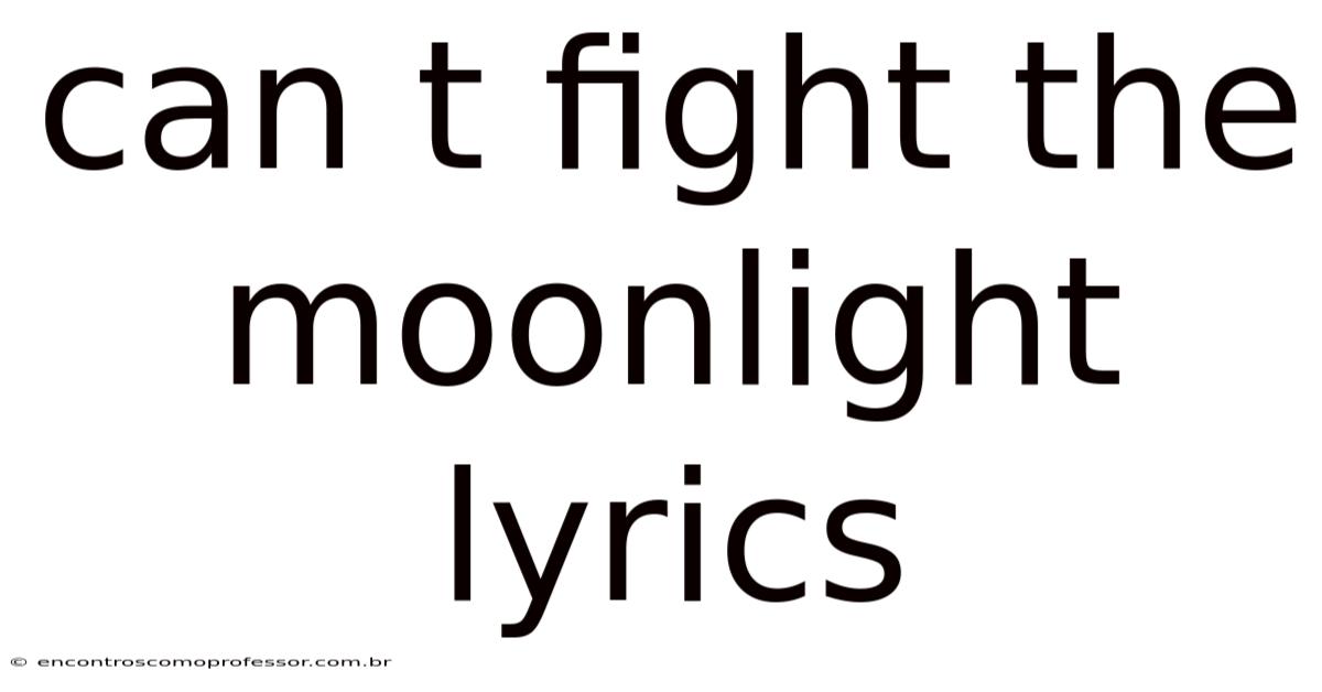Can T Fight The Moonlight Lyrics