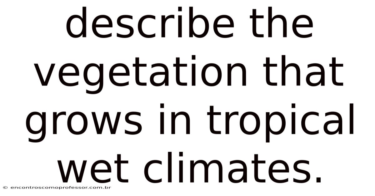 Describe The Vegetation That Grows In Tropical Wet Climates.