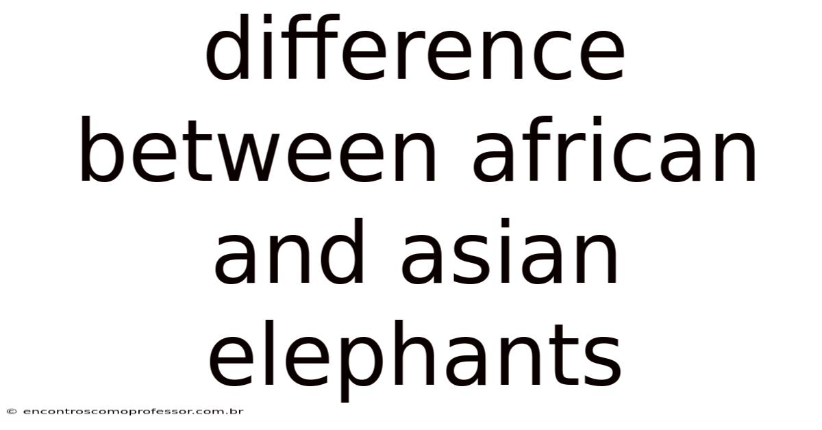 Difference Between African And Asian Elephants