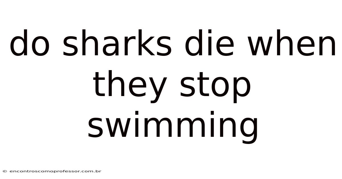 Do Sharks Die When They Stop Swimming