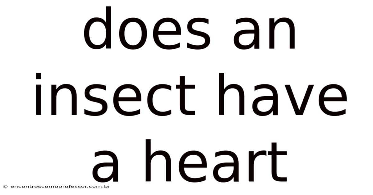 Does An Insect Have A Heart