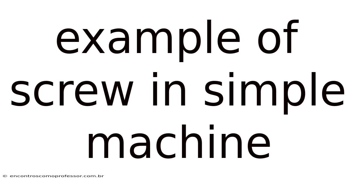 Example Of Screw In Simple Machine