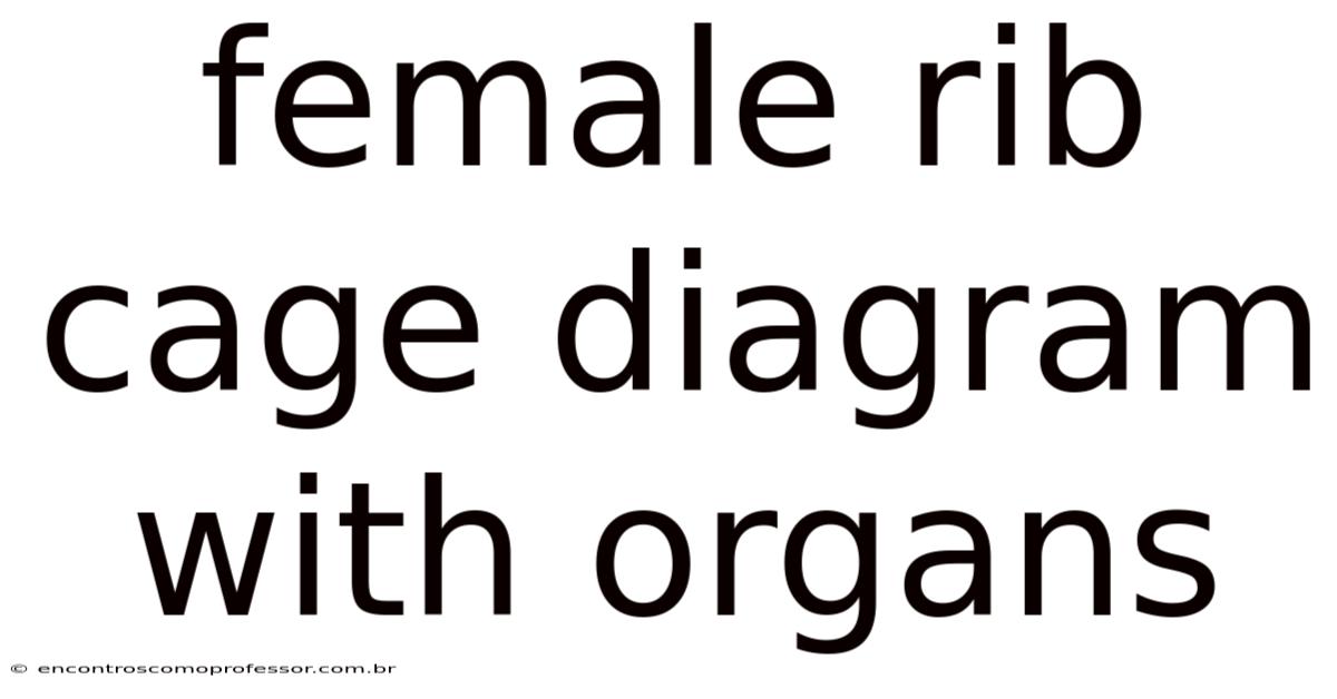 Female Rib Cage Diagram With Organs