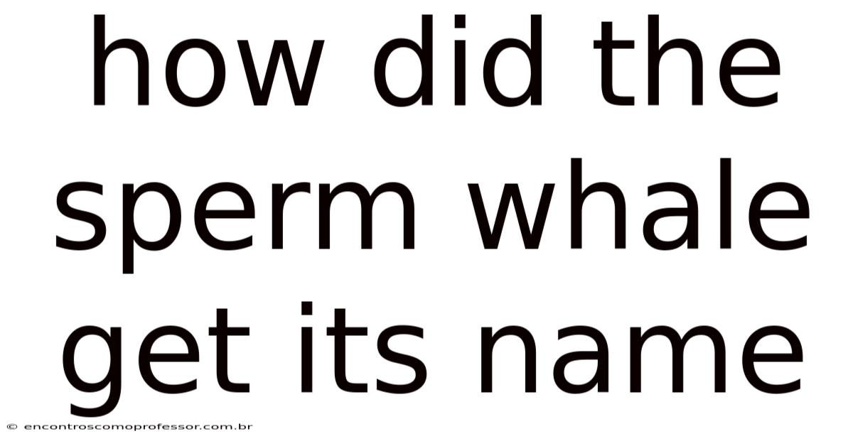 How Did The Sperm Whale Get Its Name