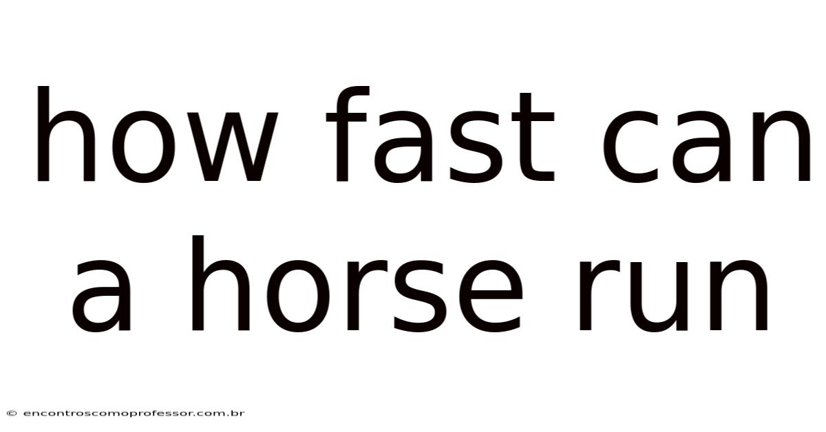 How Fast Can A Horse Run