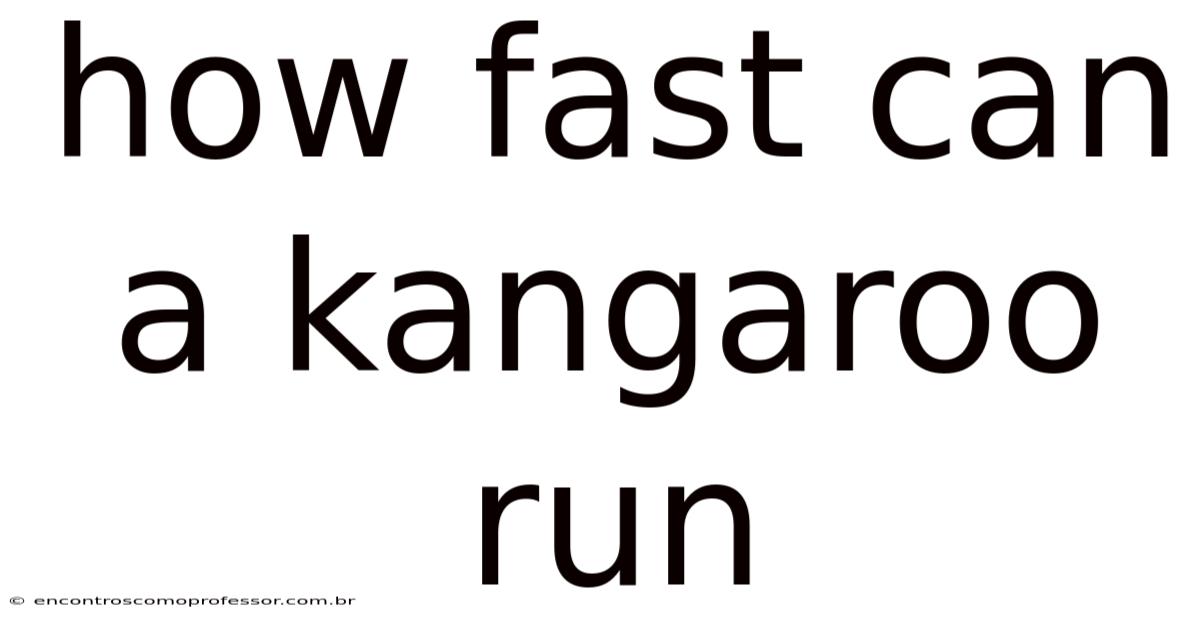 How Fast Can A Kangaroo Run