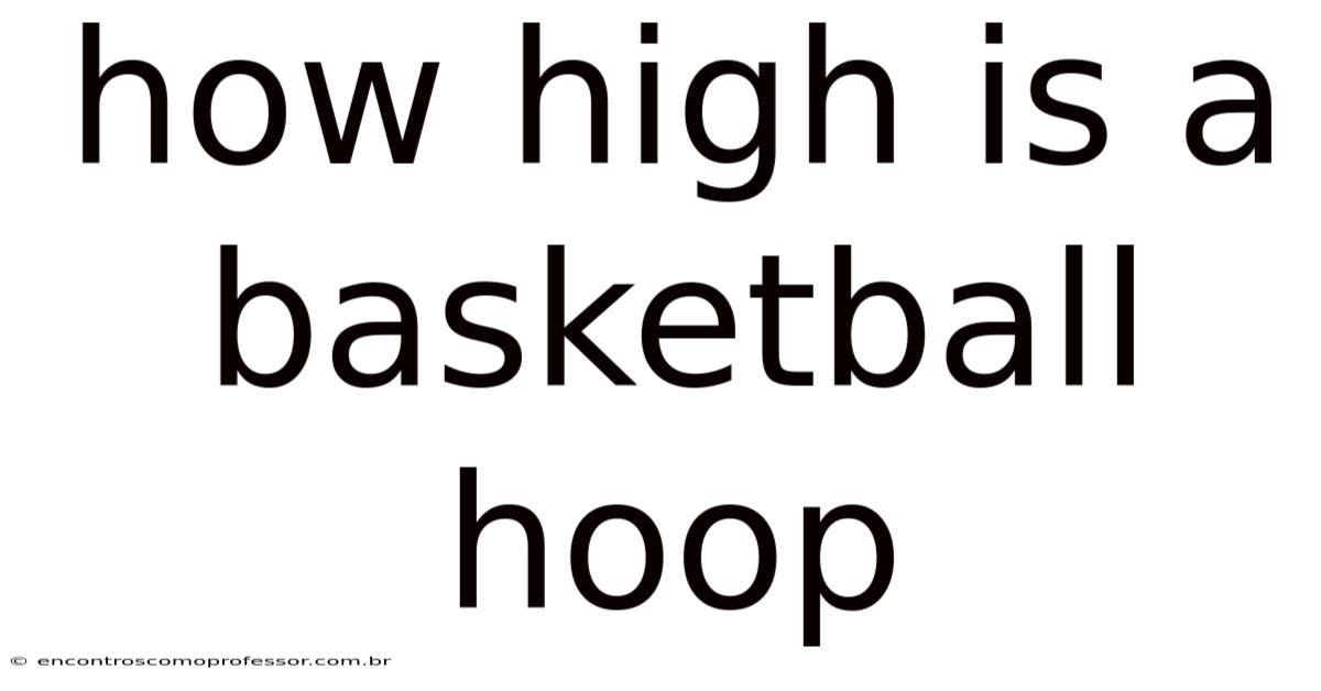 How High Is A Basketball Hoop