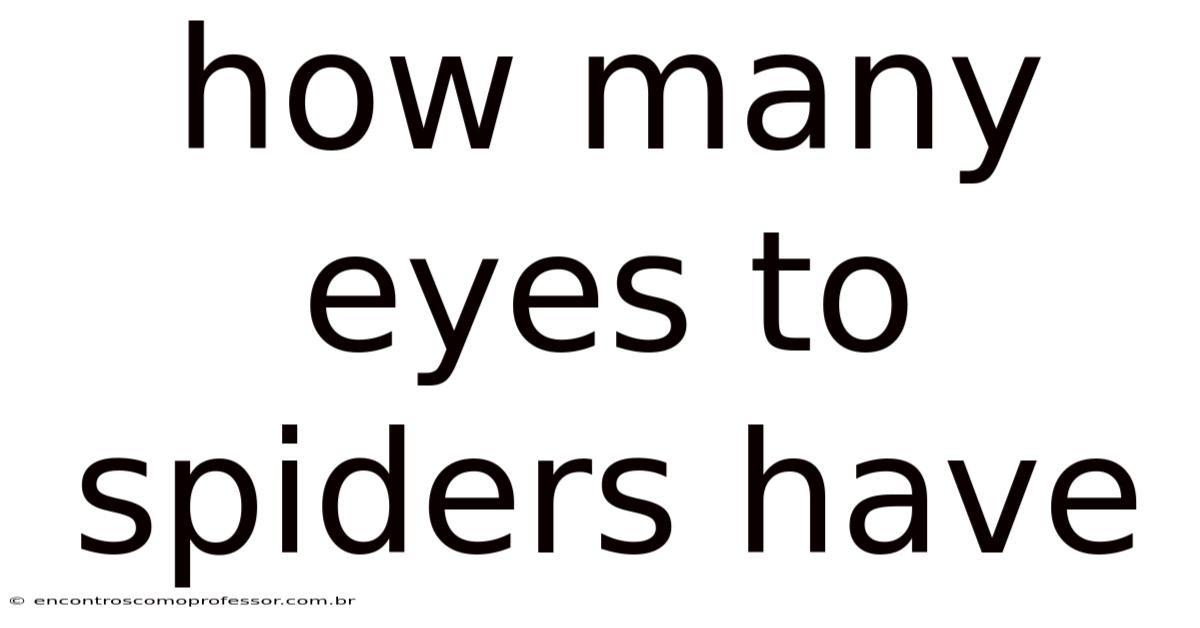 How Many Eyes To Spiders Have