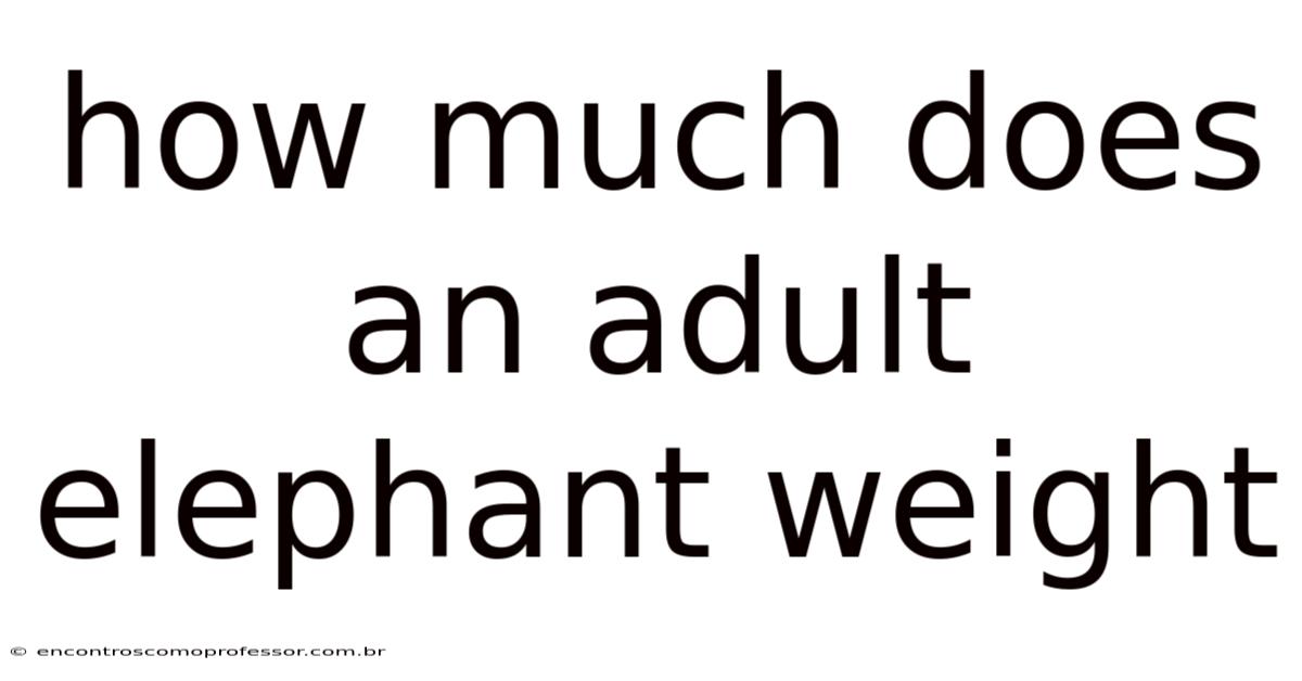 How Much Does An Adult Elephant Weight