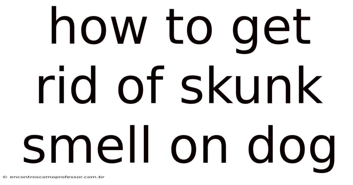 How To Get Rid Of Skunk Smell On Dog