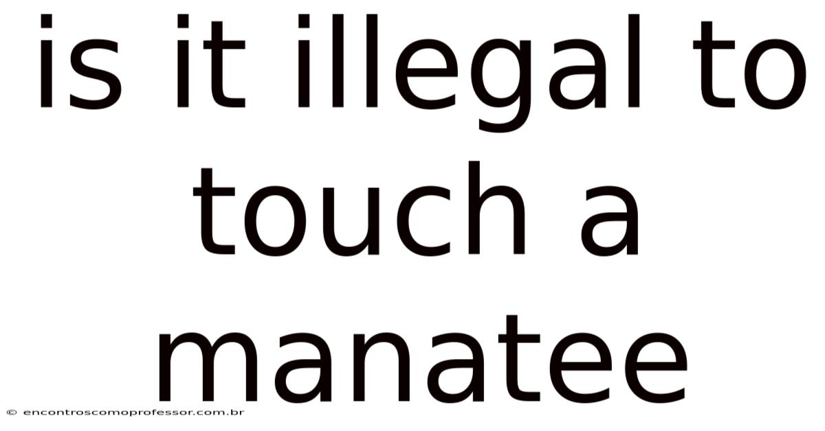 Is It Illegal To Touch A Manatee