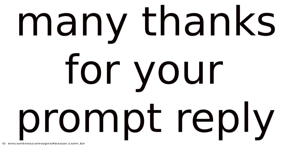 Many Thanks For Your Prompt Reply