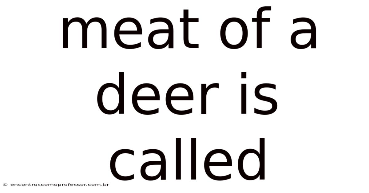 Meat Of A Deer Is Called