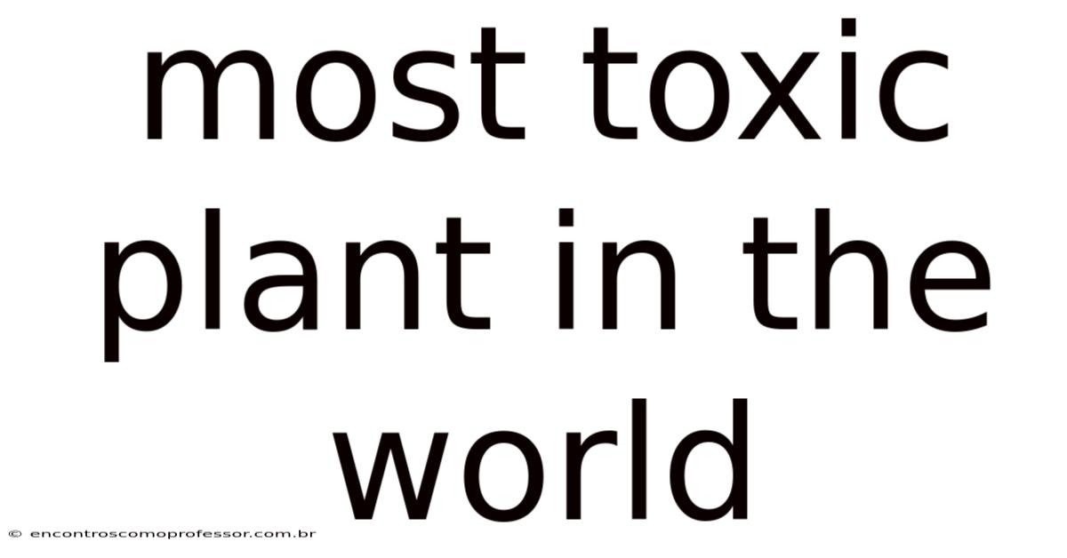 Most Toxic Plant In The World