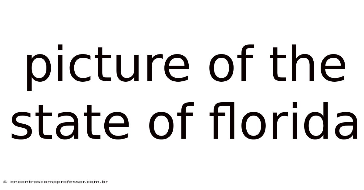 Picture Of The State Of Florida