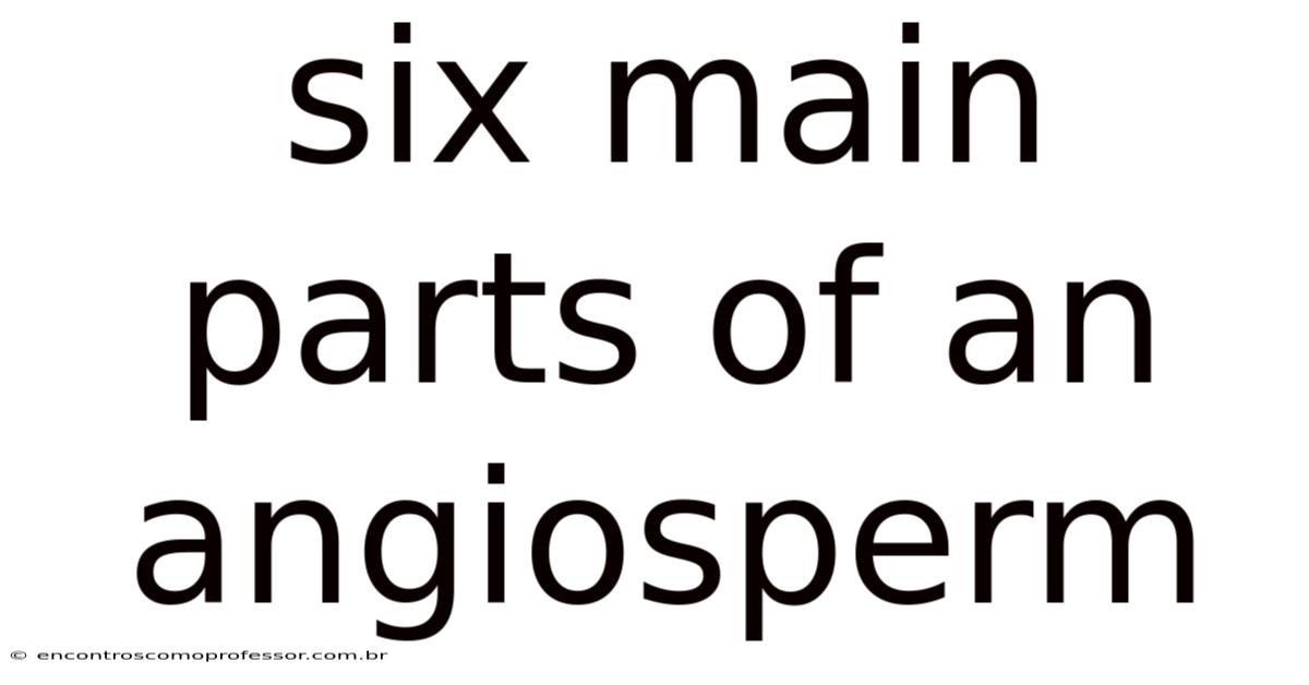 Six Main Parts Of An Angiosperm