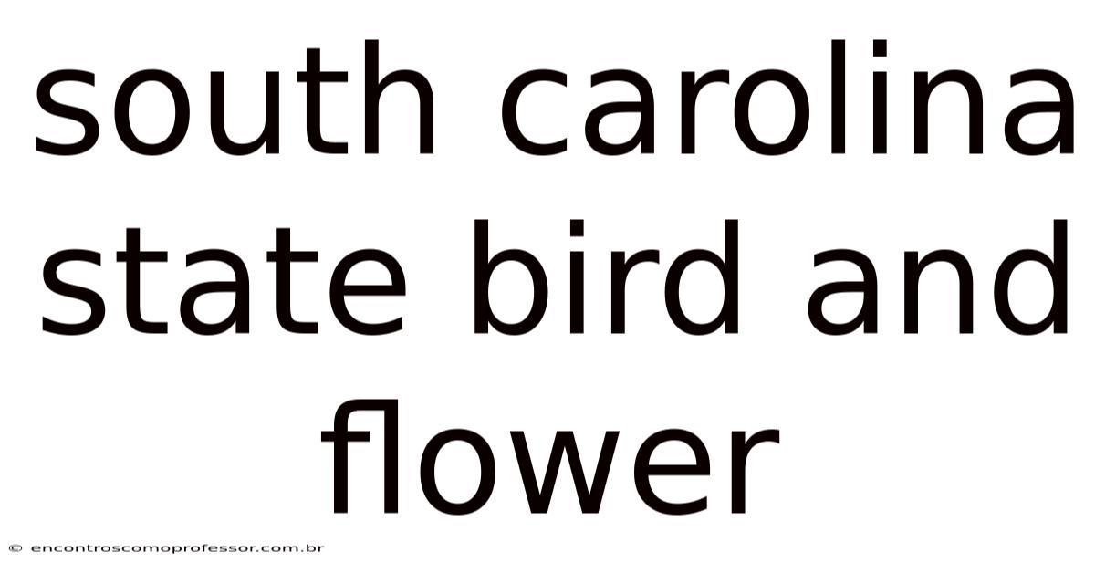 South Carolina State Bird And Flower