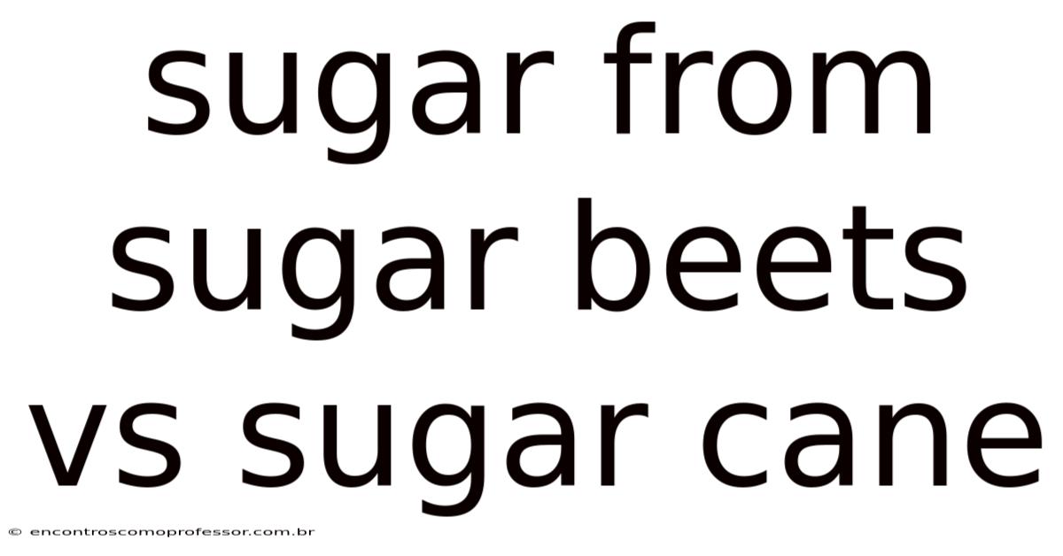 Sugar From Sugar Beets Vs Sugar Cane