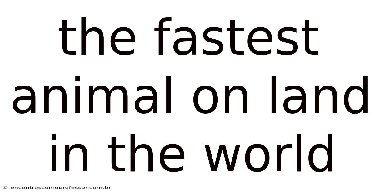 The Fastest Animal On Land In The World