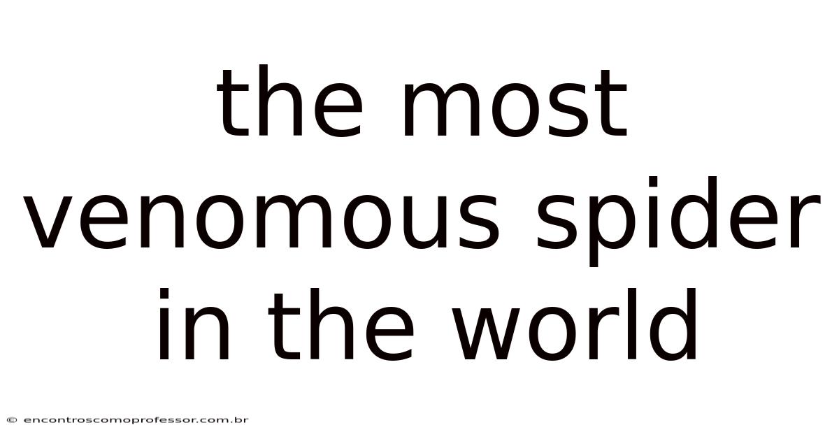 The Most Venomous Spider In The World