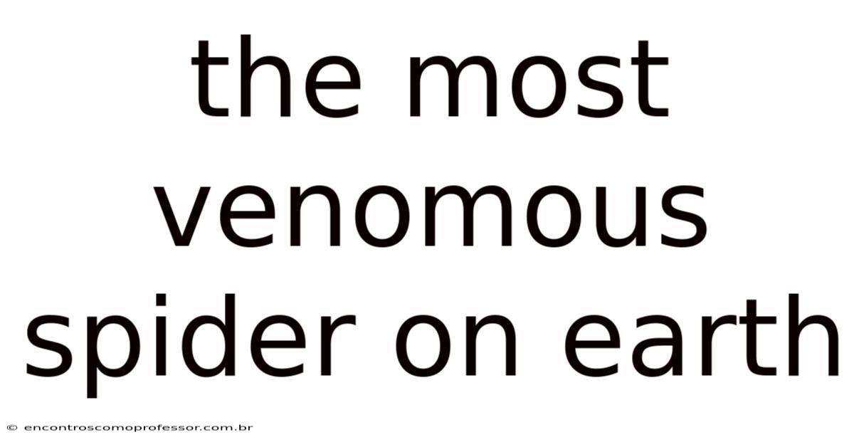 The Most Venomous Spider On Earth