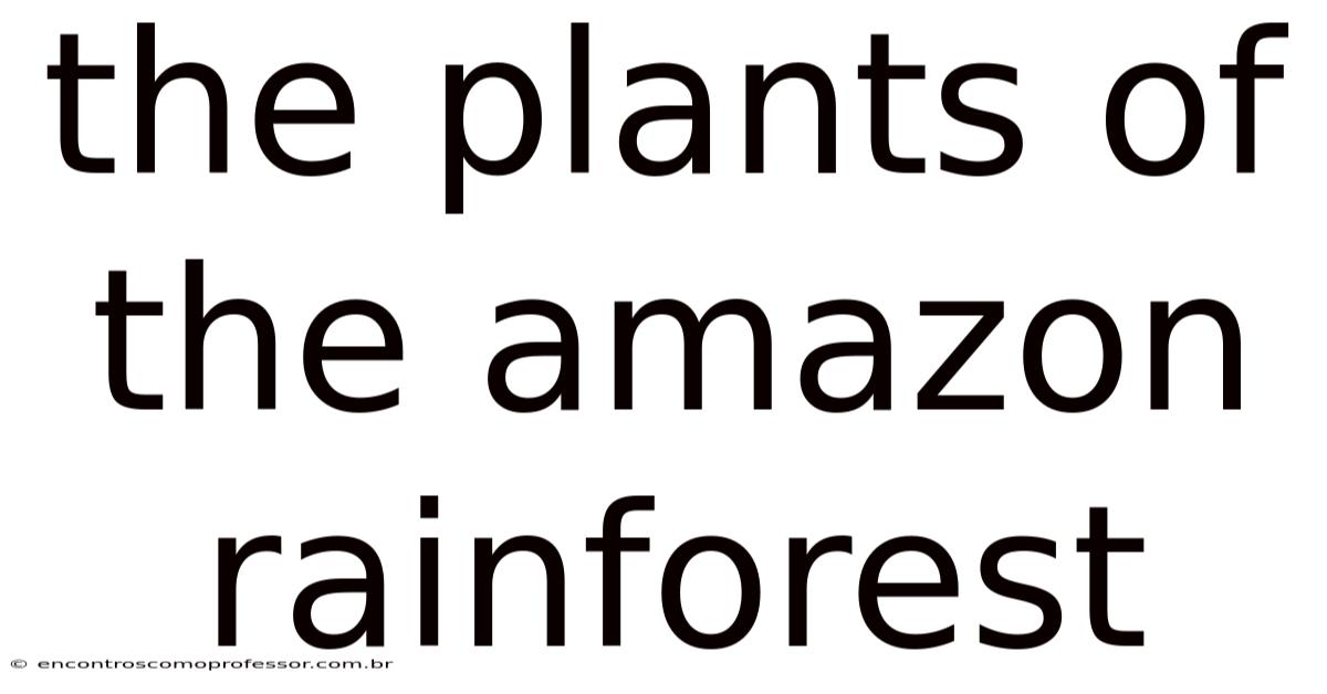 The Plants Of The Amazon Rainforest