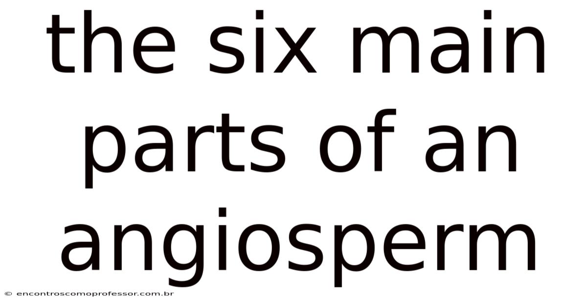 The Six Main Parts Of An Angiosperm