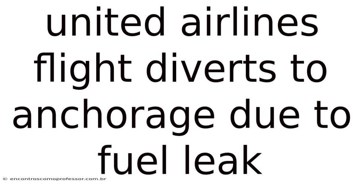 United Airlines Flight Diverts To Anchorage Due To Fuel Leak