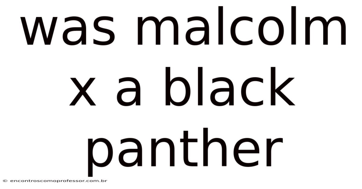 Was Malcolm X A Black Panther