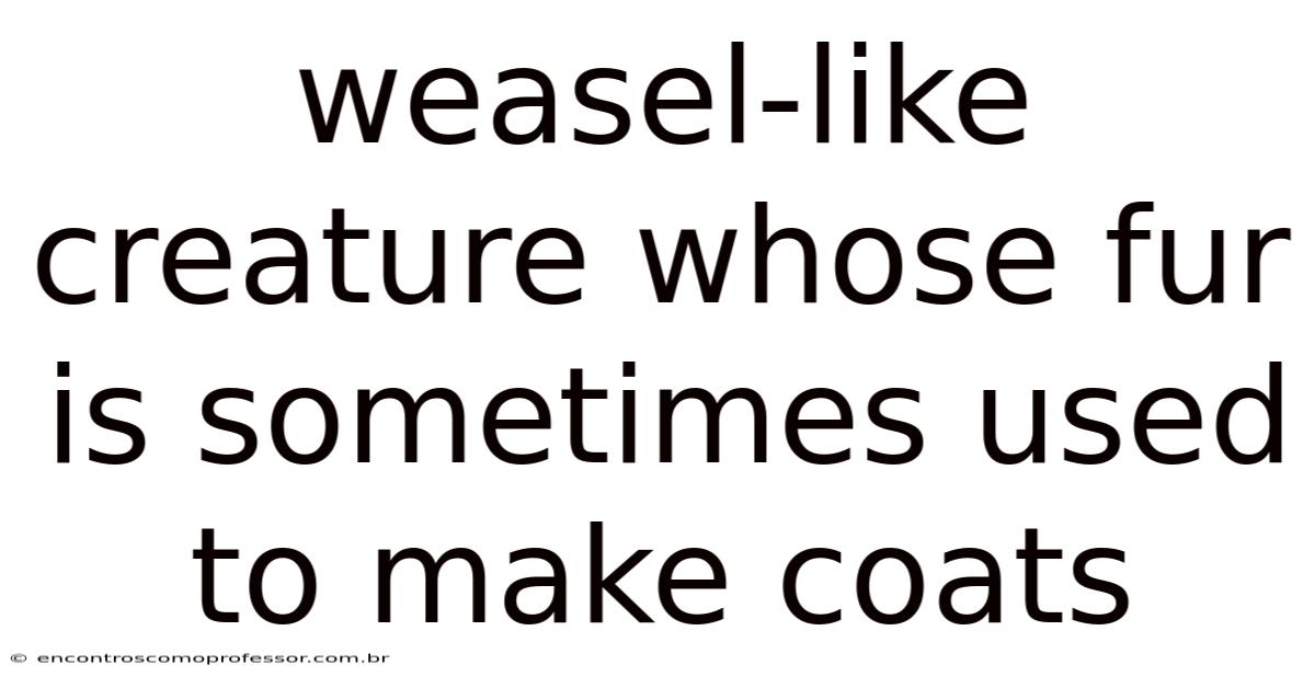 Weasel-like Creature Whose Fur Is Sometimes Used To Make Coats