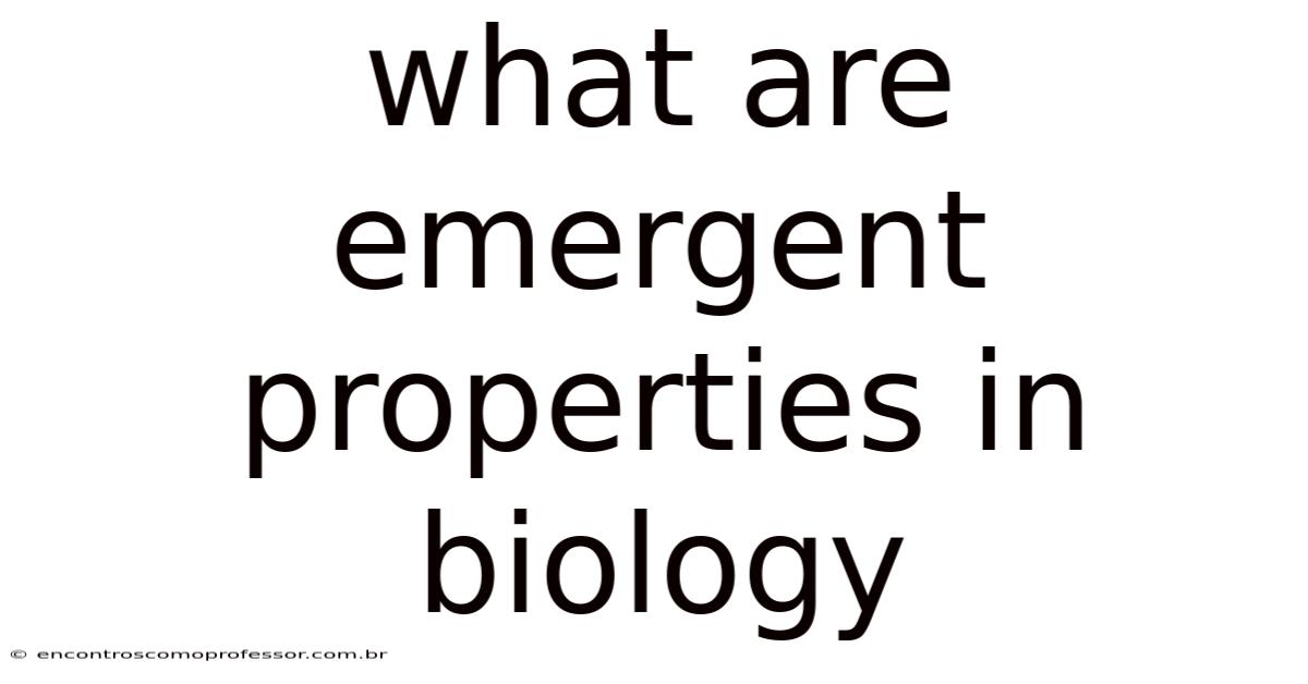 What Are Emergent Properties In Biology