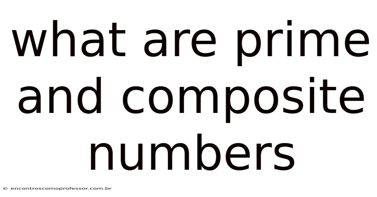 What Are Prime And Composite Numbers