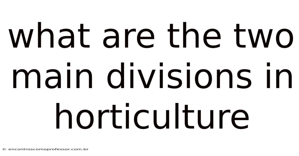 What Are The Two Main Divisions In Horticulture