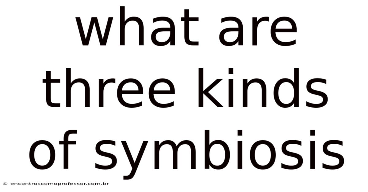 What Are Three Kinds Of Symbiosis