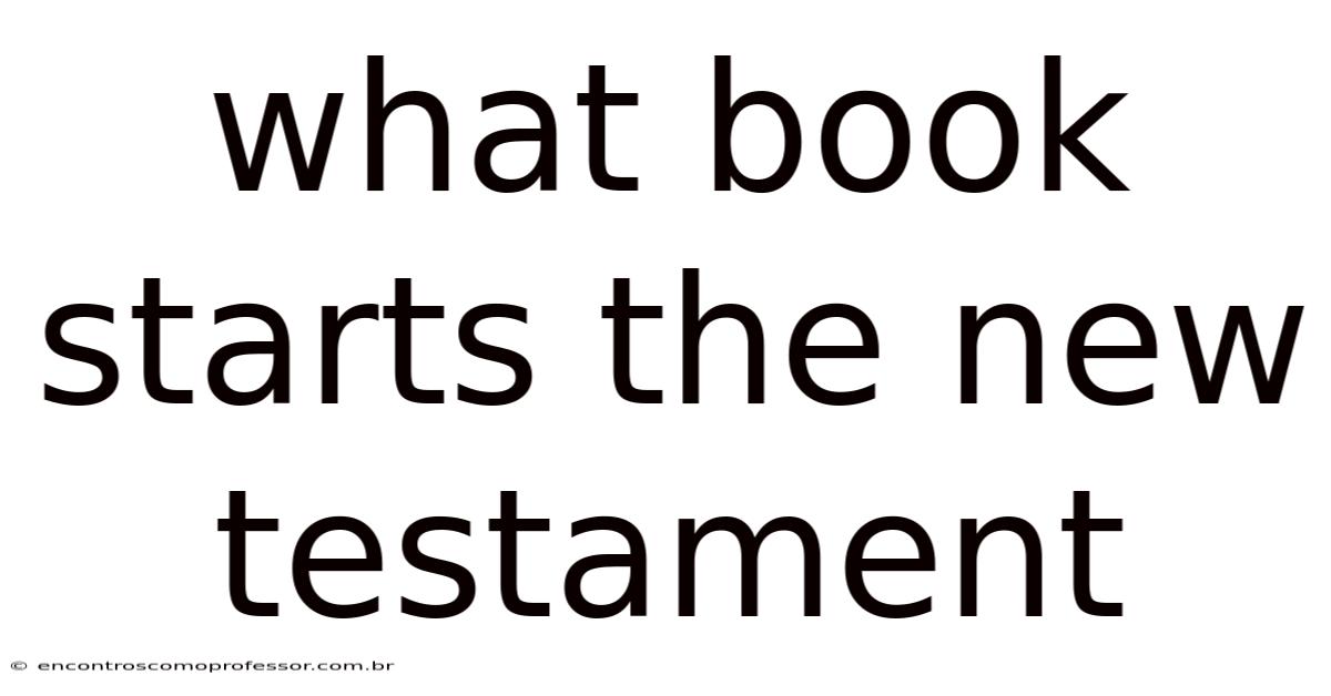 What Book Starts The New Testament