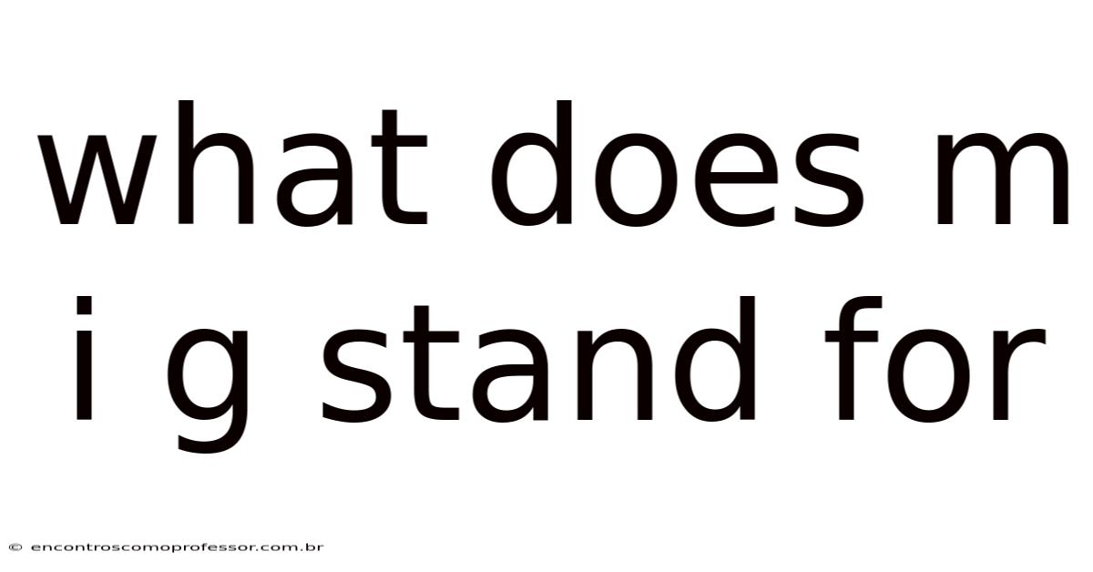 What Does M I G Stand For