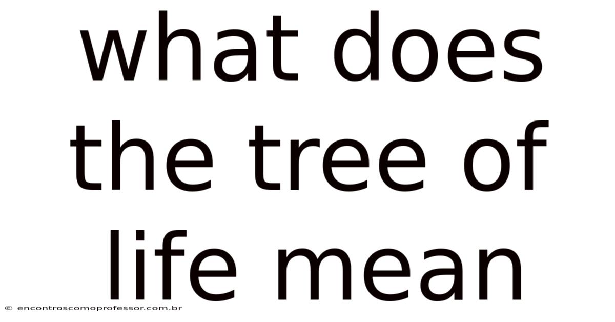 What Does The Tree Of Life Mean