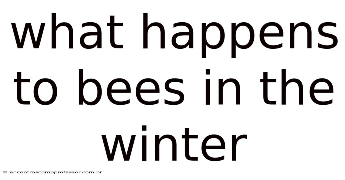 What Happens To Bees In The Winter