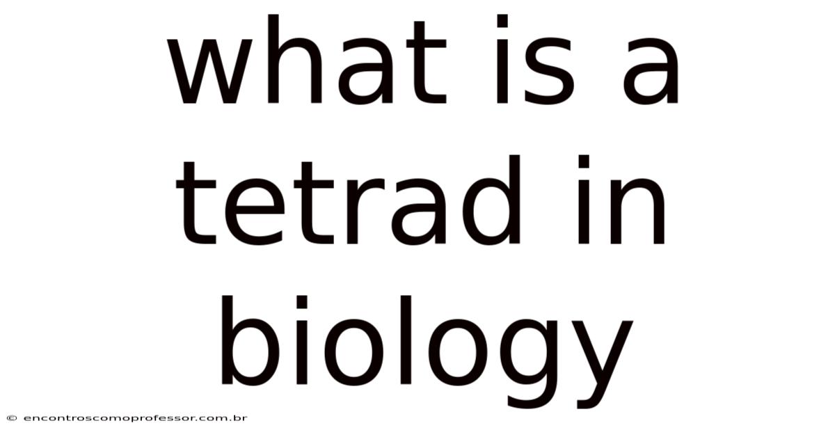 What Is A Tetrad In Biology