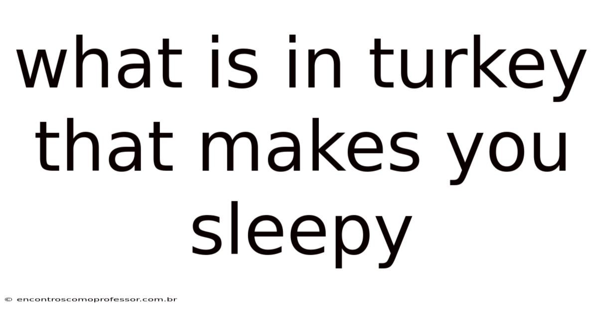 What Is In Turkey That Makes You Sleepy