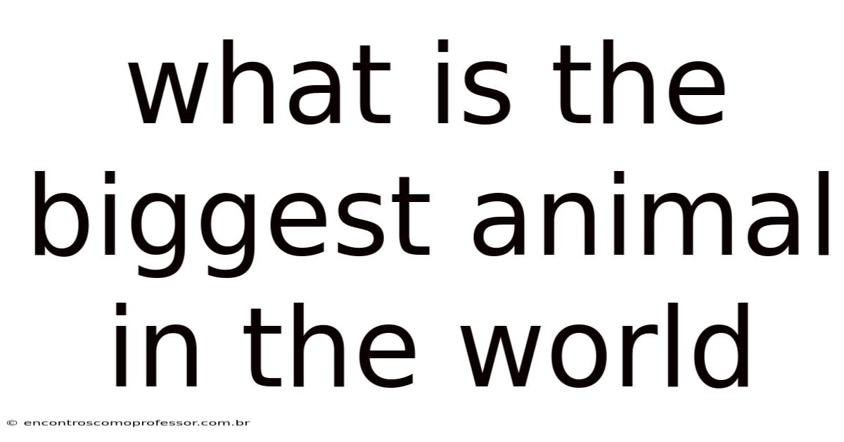 What Is The Biggest Animal In The World
