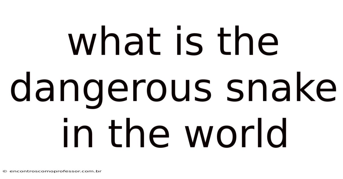 What Is The Dangerous Snake In The World
