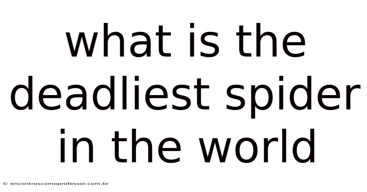 What Is The Deadliest Spider In The World
