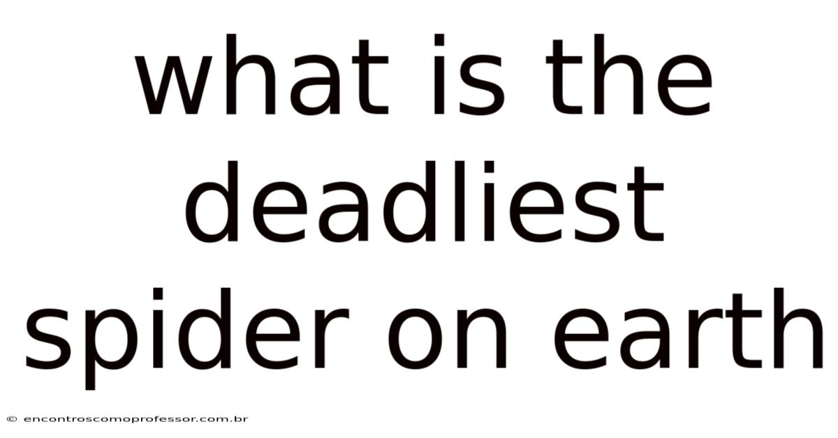 What Is The Deadliest Spider On Earth