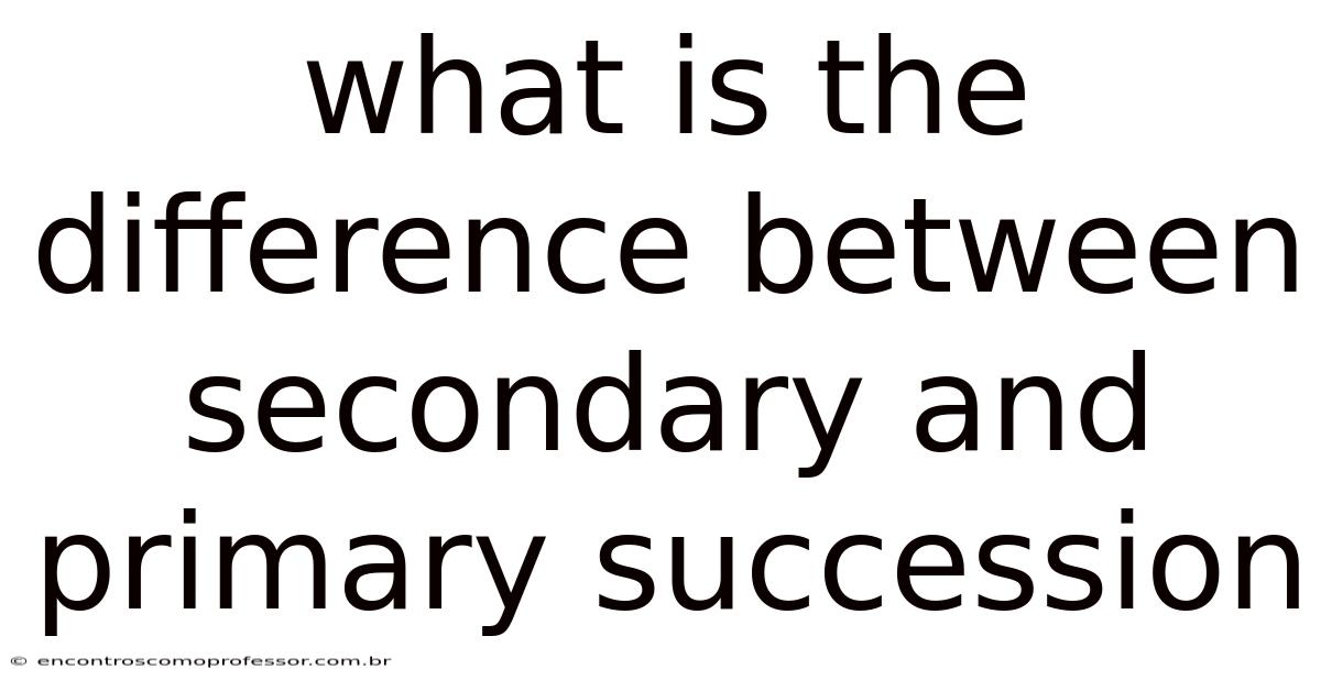 What Is The Difference Between Secondary And Primary Succession
